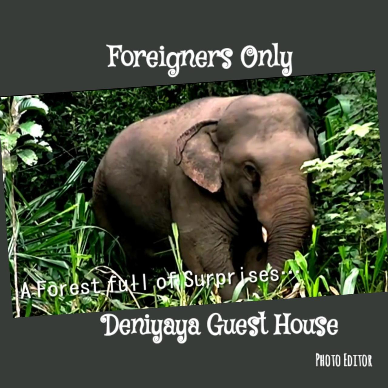 Deniyaya Guest House מראה חיצוני תמונה
